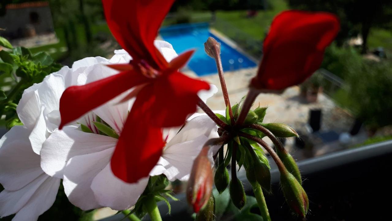 Pension Am Weinberg Bed & Breakfast Mainstockheim 외부 사진