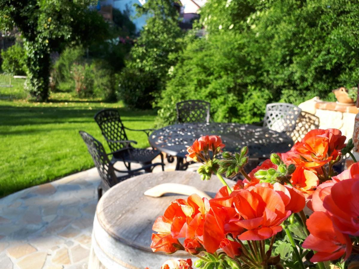 Pension Am Weinberg Bed & Breakfast Mainstockheim 외부 사진