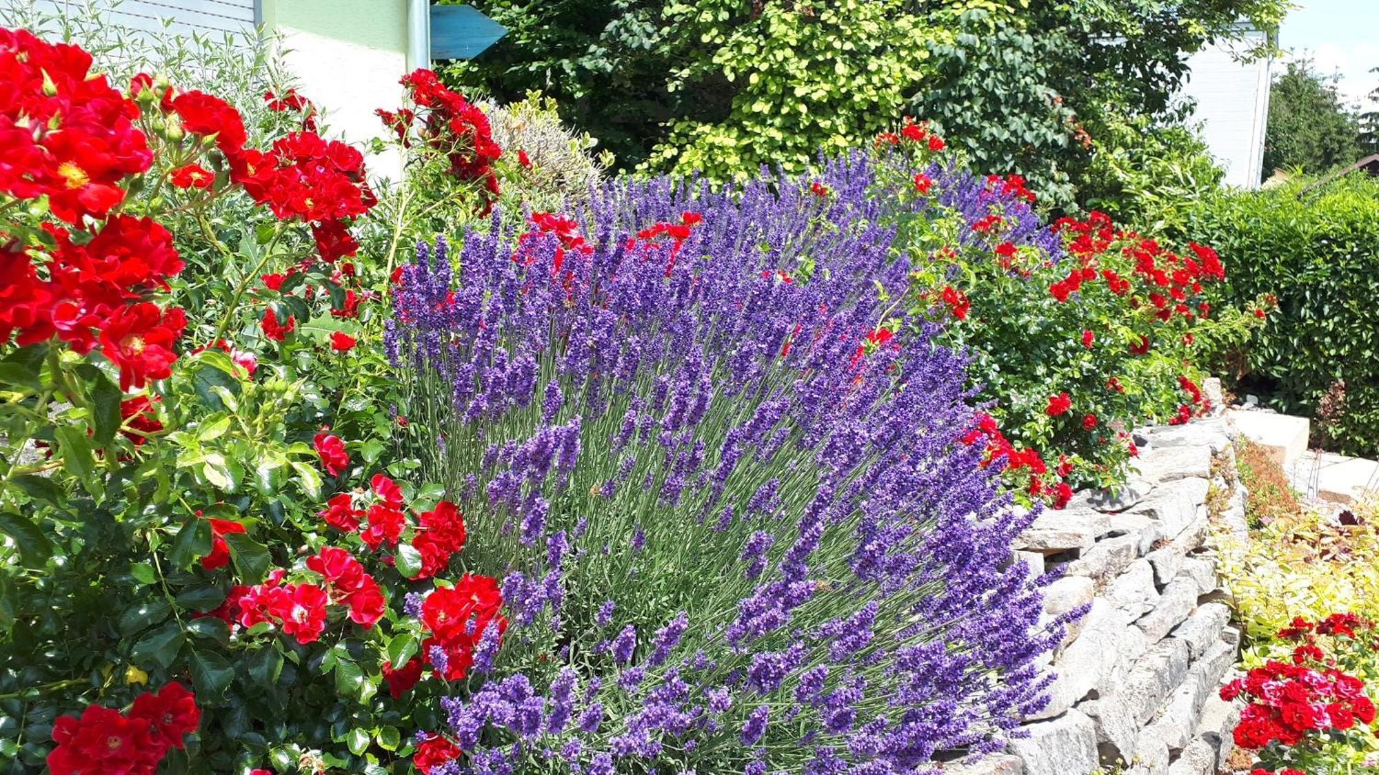 Pension Am Weinberg Bed & Breakfast Mainstockheim 외부 사진